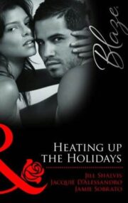 Jacquie ’Alessandro - Heating up the Holidays