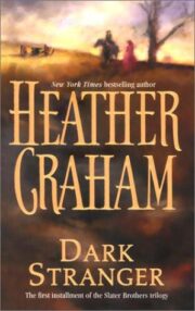 Heather Graham - Dark Stranger