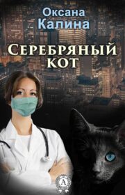 Оксана Калина - Серебряный кот (СИ)