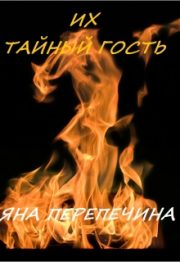 Яна Перепечина - Их тайный гость