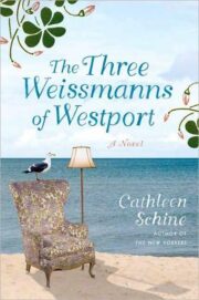 Cathleen Schine - The Three Weissmanns of Westport