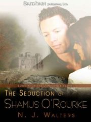 N. Walters - The Seduction of Shamus O’Rourke